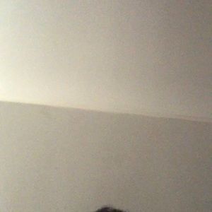 Meet your Posher, Horatio